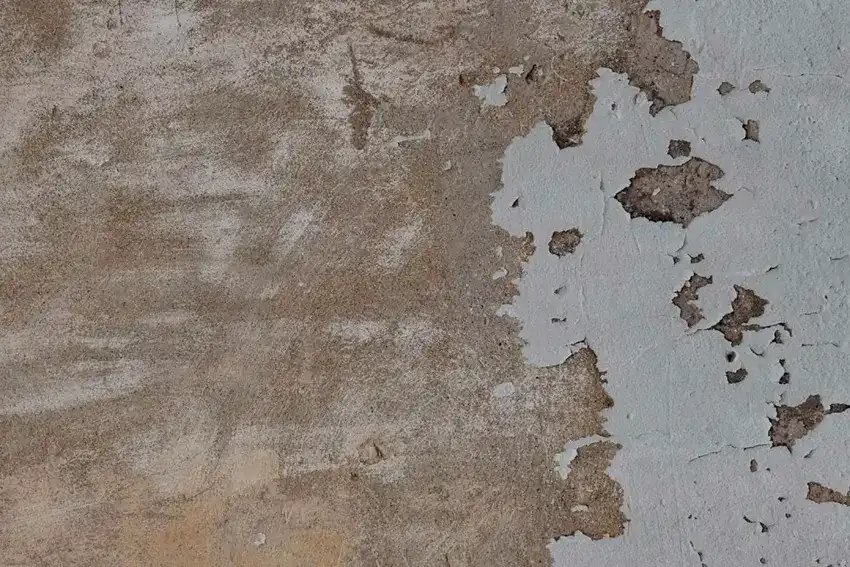 Common Questions about Concrete Cement Paints