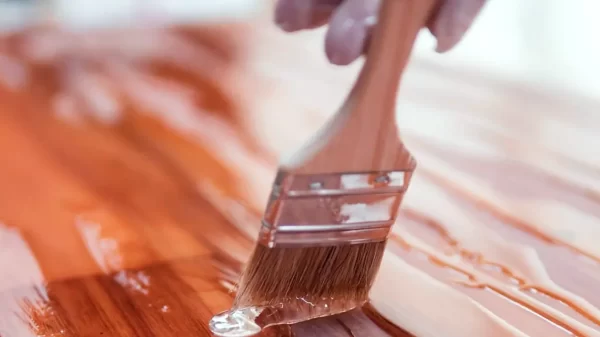 Apply Varnish Paint