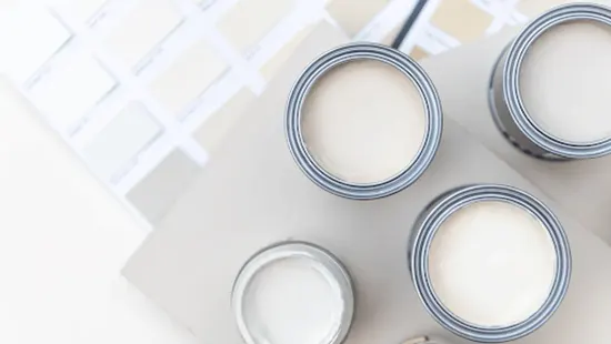Natural Latex Paint